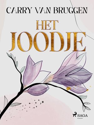 cover image of Het Joodje